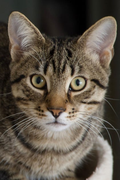 Foto Haag wir drucken auf Hahnemühle Papier